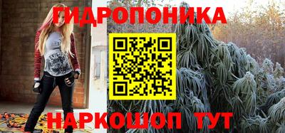 индика Свободный