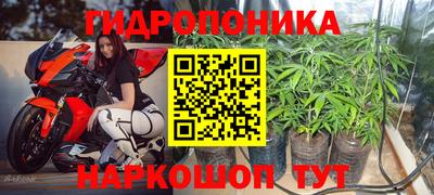 индика Свободный
