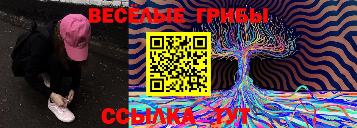 Галлюциногенные грибы Magic Shrooms  Галлюциногенные грибы Psilocybine cubensis  Гатчина  Вход с VPN 