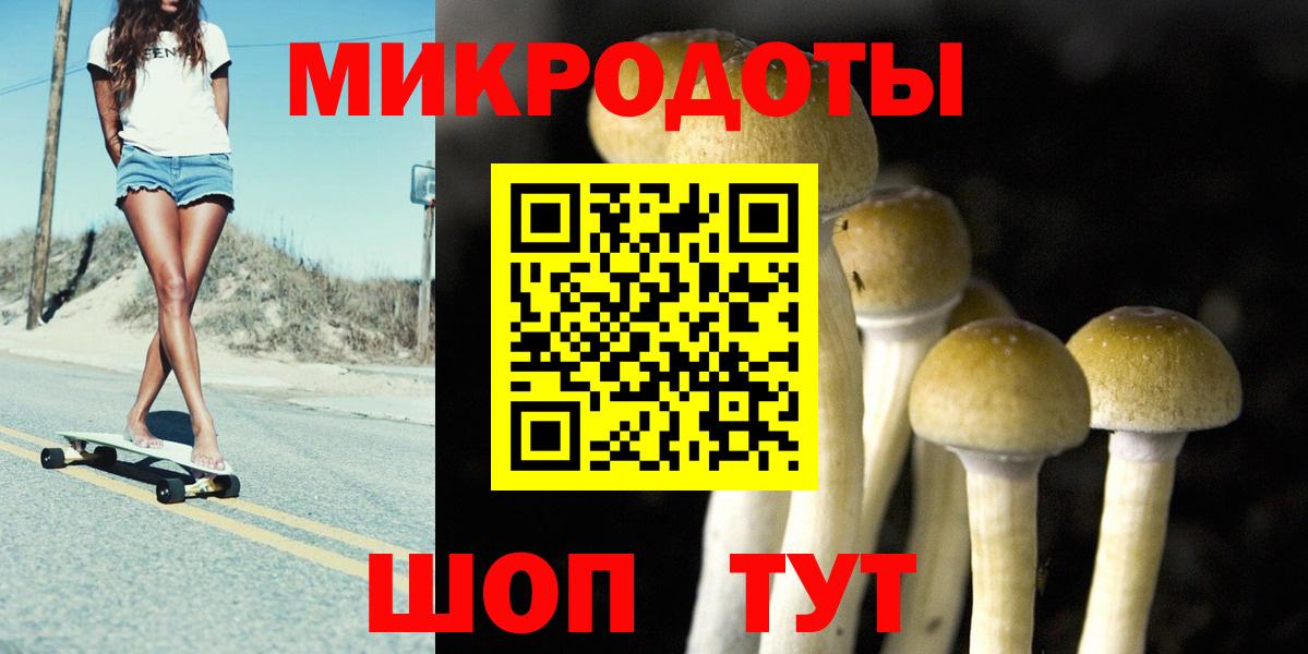 Галлюциногенные грибы Psilocybe Гатчина